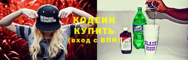a pvp Бородино