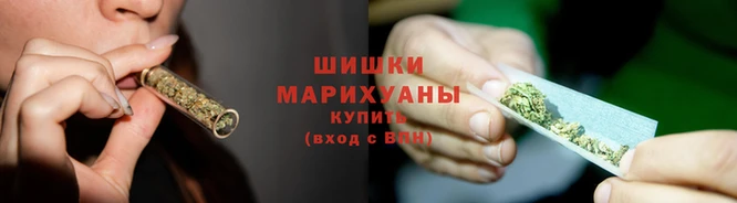 jwh Богородицк