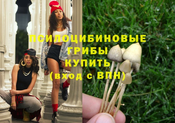 ПСИЛОЦИБИНОВЫЕ ГРИБЫ Богородск
